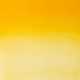 WN  INDIAN YELLOW